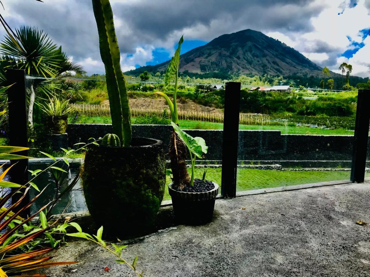 Kintamani Batur Panorama Bed & Breakfast エクステリア 写真