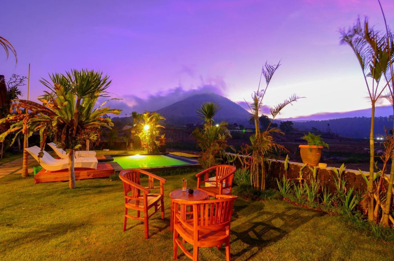 Kintamani Batur Panorama Bed & Breakfast エクステリア 写真