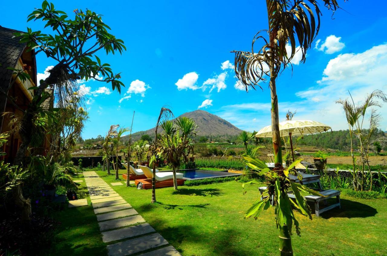 Kintamani Batur Panorama Bed & Breakfast エクステリア 写真